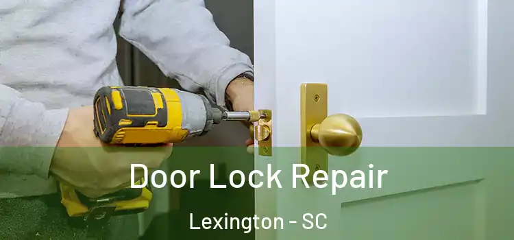 Door Lock Repair Lexington - SC