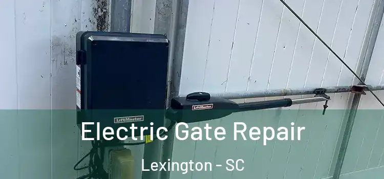 Electric Gate Repair Lexington - SC
