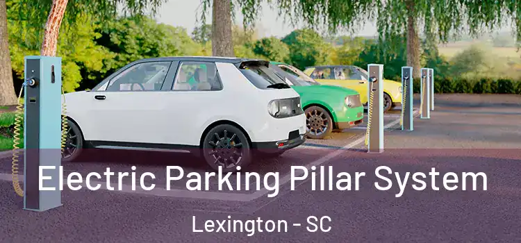 Electric Parking Pillar System Lexington - SC