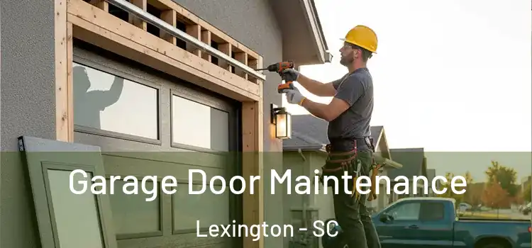 Garage Door Maintenance Lexington - SC