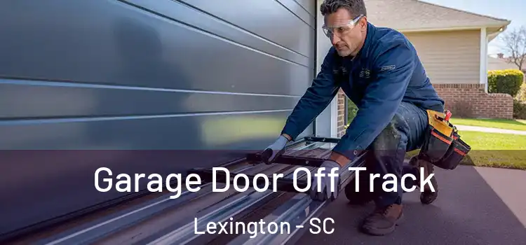  Garage Door Off Track Lexington - SC