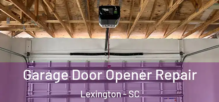  Garage Door Opener Repair Lexington - SC