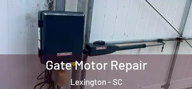 Gate Motor Repair Lexington - SC