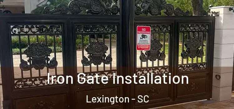 Iron Gate Installation Lexington - SC