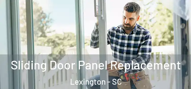 Sliding Door Panel Replacement Lexington - SC