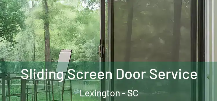 Sliding Screen Door Service Lexington - SC